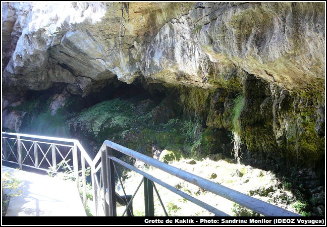 Grotte kaklik vegetation