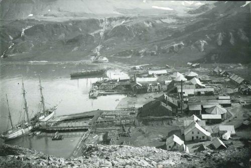 Grytviken en 1925