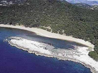 Plage sur l'île de Mljet