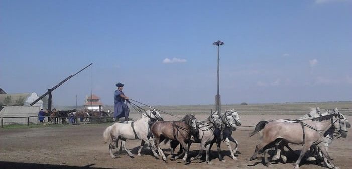 La Puszta, Grande Plaine de Hongrie, une magnifique région rurale Puszta parc Hortobagy en Hongrie
