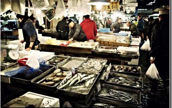 Marché Tsukiji à Tokyo ; le royaume des produits de la mer (Tourisme Tokyo) Tokyo Marché Tsukiji