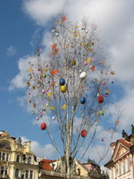 prague paques arbre décoré d'oeufs