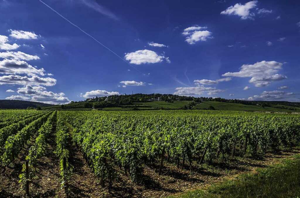 route des vins de bourgogne