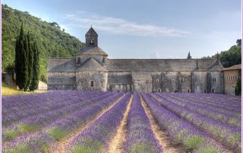 Le Luberon : merveilleuse escapade en Provence abbaye de senanque vaucluse