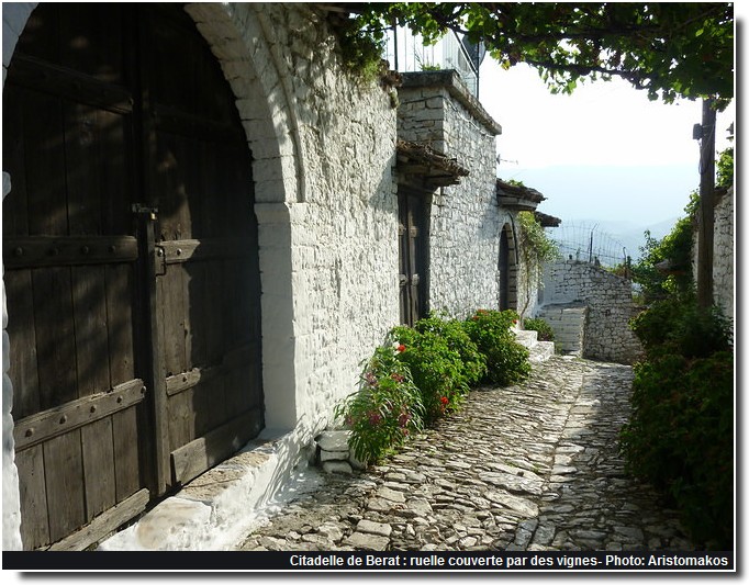 Citadelle Berat ruelle couverte par des vignes