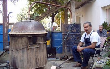 Le rakija ; plus qu’une eau de vie, une institution et un rituel convivial des Balkans rakija en serbie