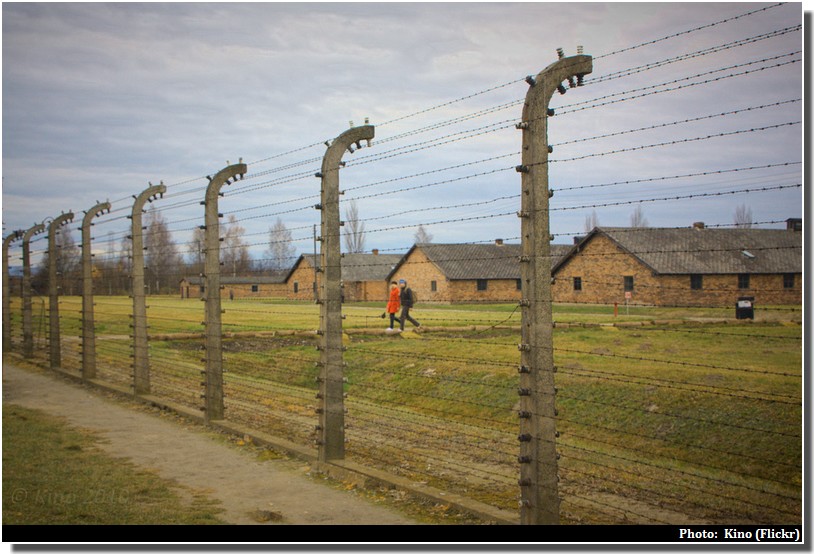 Auschwitz birkenau fils barbelés