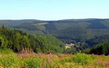 Explorer l’Ardenne belge en randonnée en suivant le GR 15
