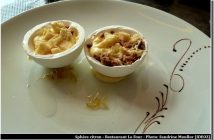 Restaurant le Four Castelnaudary coeur de Sphère au Citron