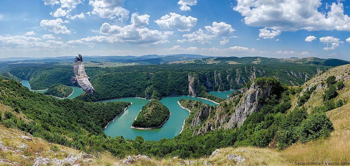 Rivière Uvac en Serbie survolée par un aigle