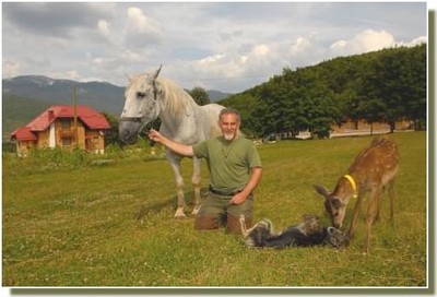 mrzlingrad branko