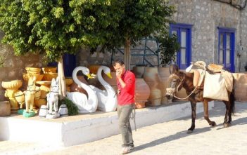 Hydra : une île grecque sans voiture – Escale dans un monde à part Hydra balade avec un ane