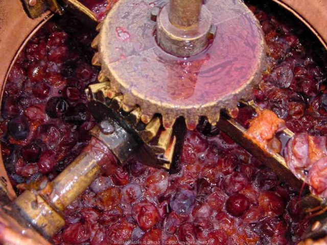 Remplissage du chaudron de l'alambic avec les prunes