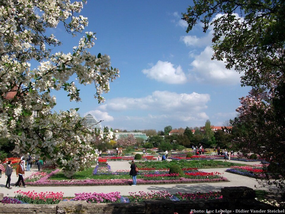 Jardin botanique à Munich au printemps