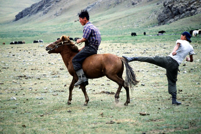Cheval de Mongolie