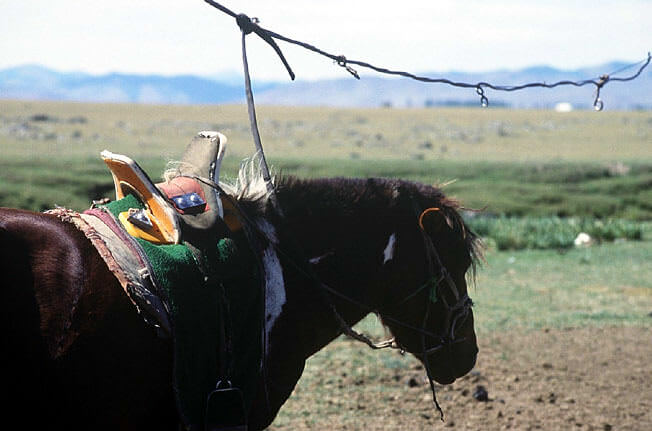 Bonnet cache oreille en laine de yack - Artisans mongols