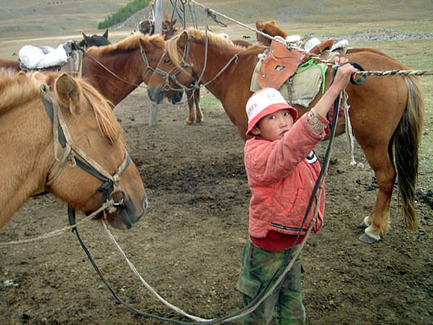 gamin mongol chevaux