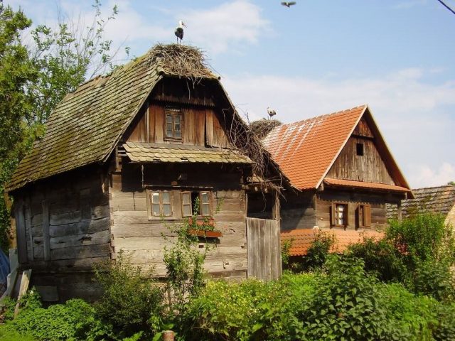 Lonjsko Polje maisons traditionnelles et cigognes