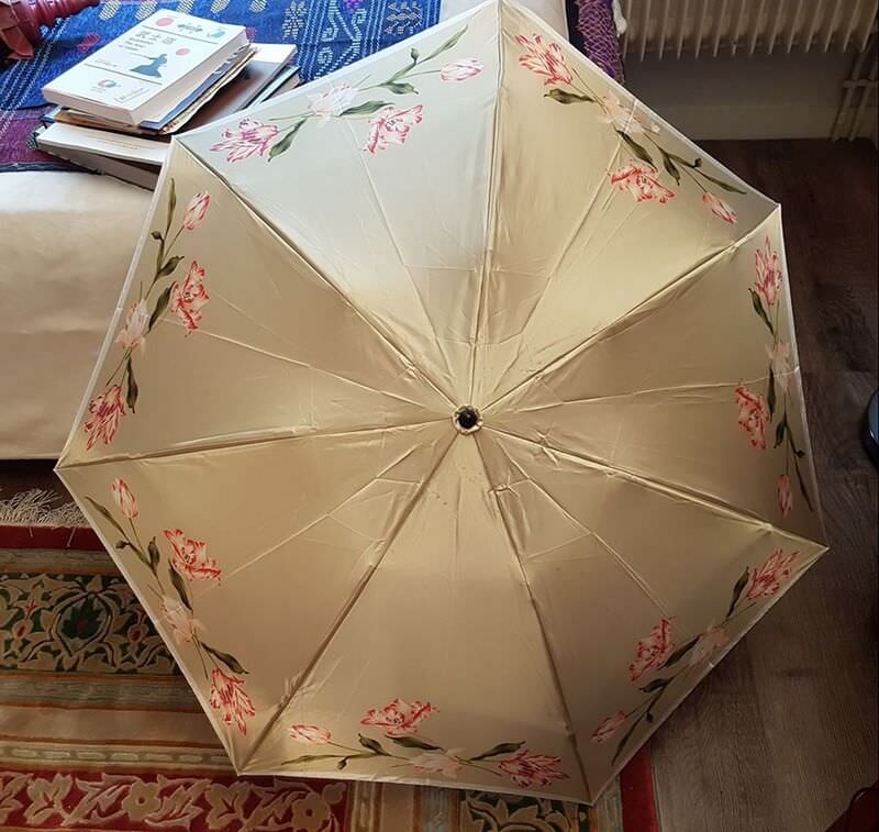 mon parapluie japonais