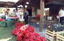 Ajvar en Croatie préparatifs autour des poivrons et des aubergines