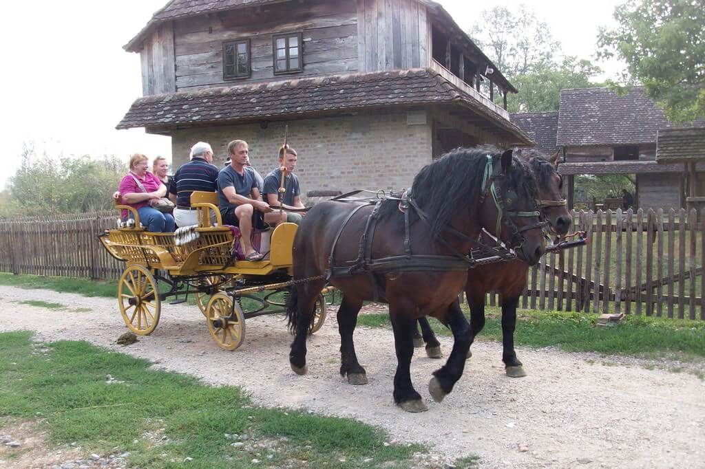 Stara Lonja balade en calèche dans le parc Lonjsko Polje