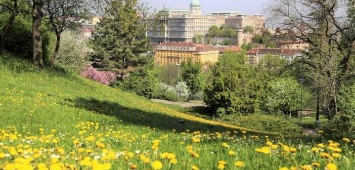 Collines de Buda ; Balades dans la Budapest champêtre et bucolique Budapest depuis les collines de Buda