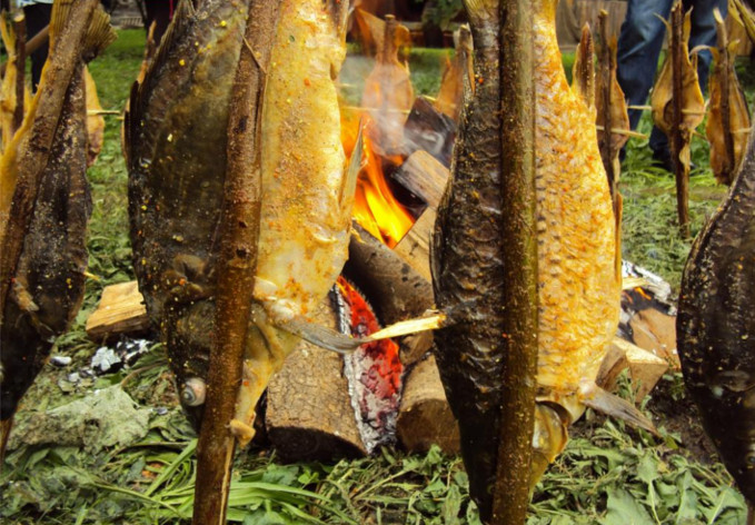 Stara Lonja poissons rôtis sur les piques
