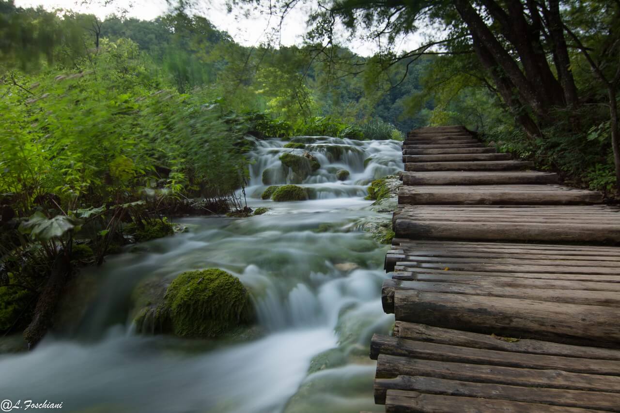 Sentiers de rondins bordé de ruisseaux à Plitvice