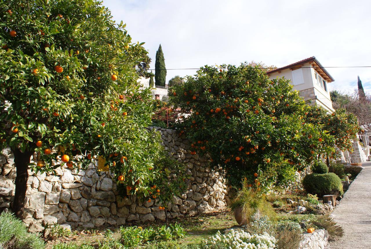 Three oranges appartment Trstno près de dubrovnik
