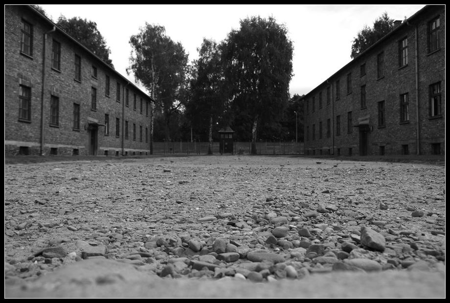 Visiter Auschwitz Birkenau