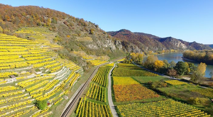 vignes de la haute vallée du rhin en Allemagne