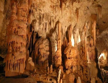 Grottes Postojna