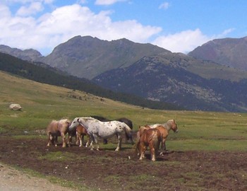 pyrénées espagnoles