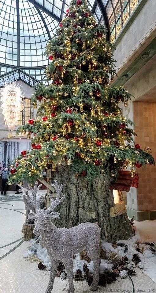 Budapest Elégant sapin décoré pour Noel et entouré de rennes