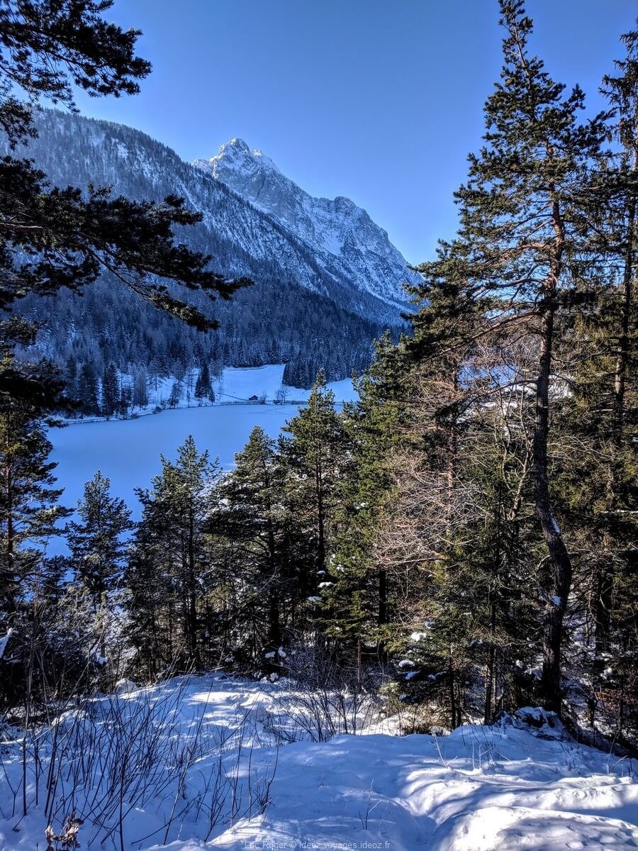 Foret près de Mittenwald sous la neige