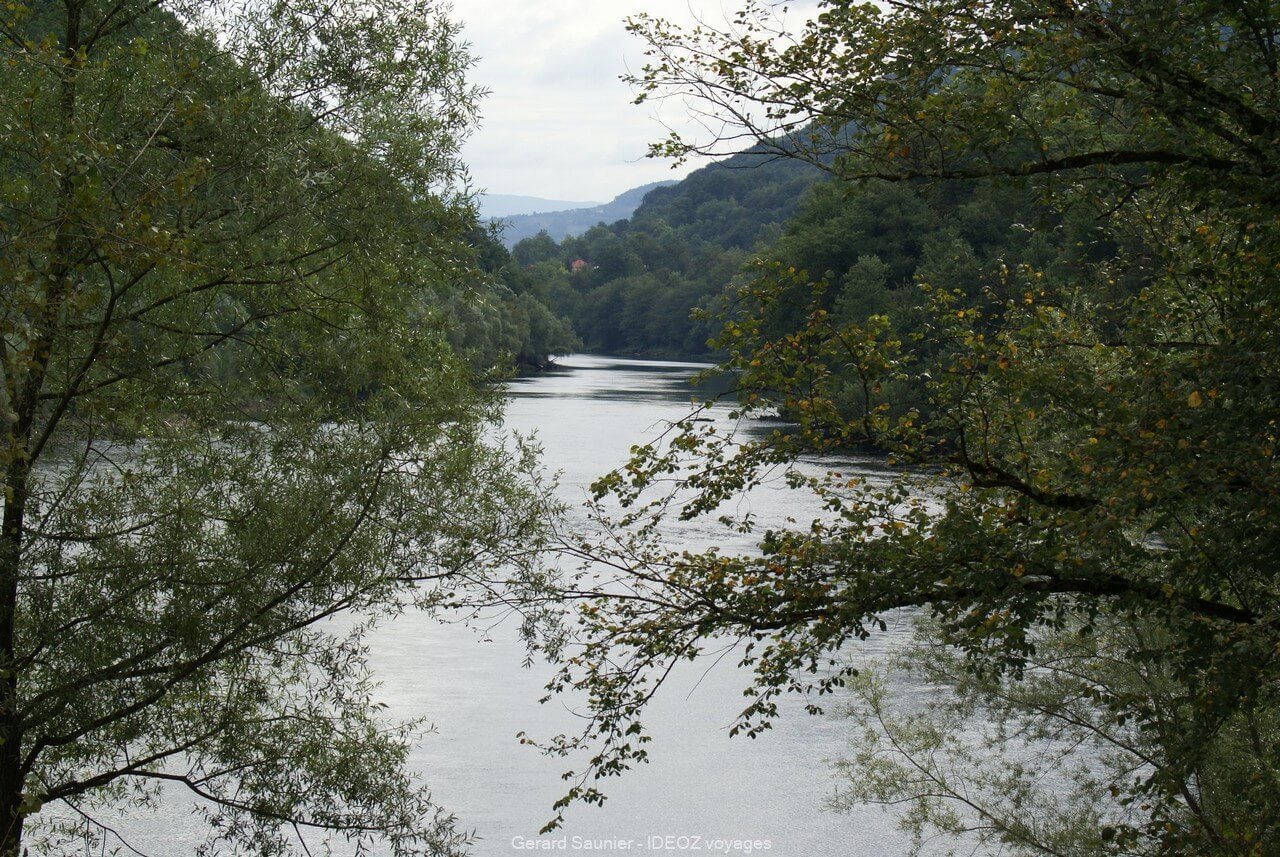 Rivière drina dans le parc national Tara en Serbie