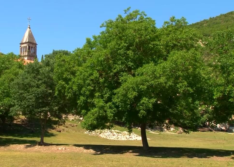clocher du monastère krka depuis les prés environnants