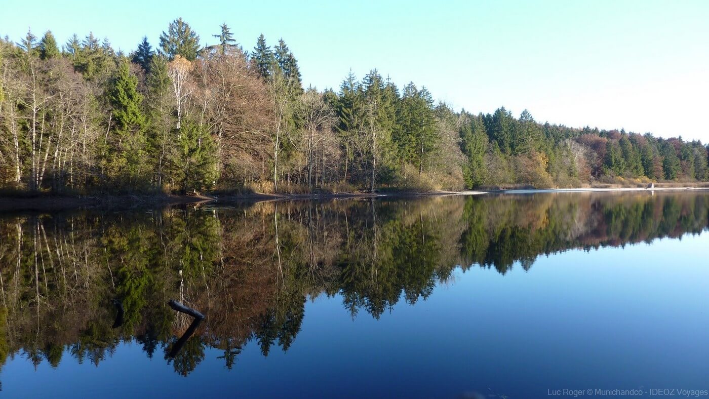 forêts bordant une partie du lac ammersee  un des lacs de la région de munich