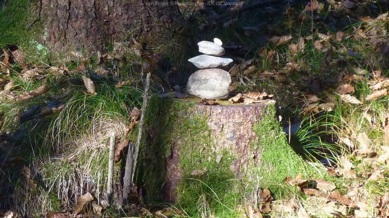 pierres sur un tronc sur le sentier de randonnée entre le lac ammersee et andechs