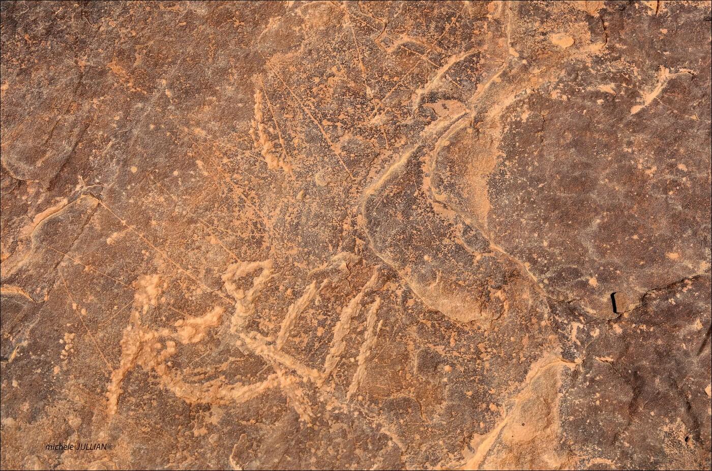  gravures pariétales datant de plus de 10 000 ans au sahara