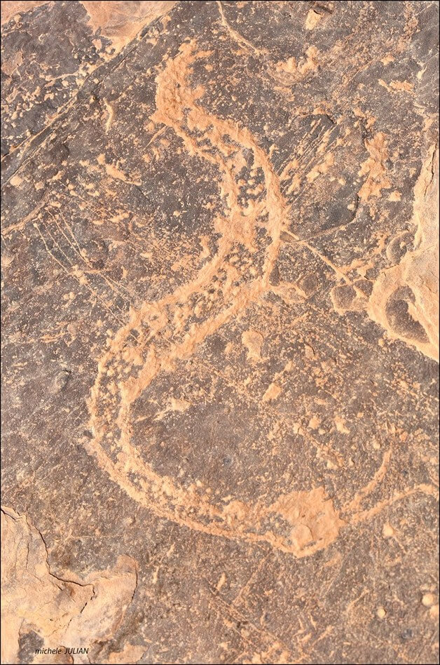 gravures pariétales dessin d'un serpent trouvé au sahara