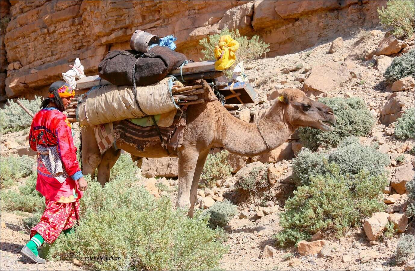  nomade berbère près de son chameau sur la route  entre Saghro et le Haut Atlas 