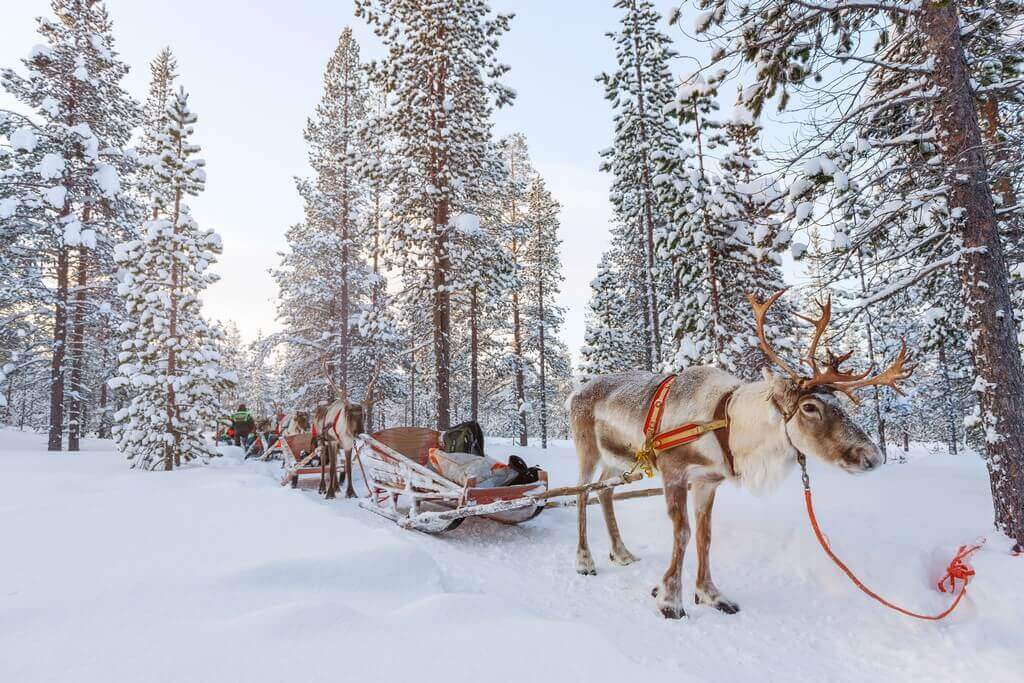 rennes au pays du père noel en laponie finlandaise (1)