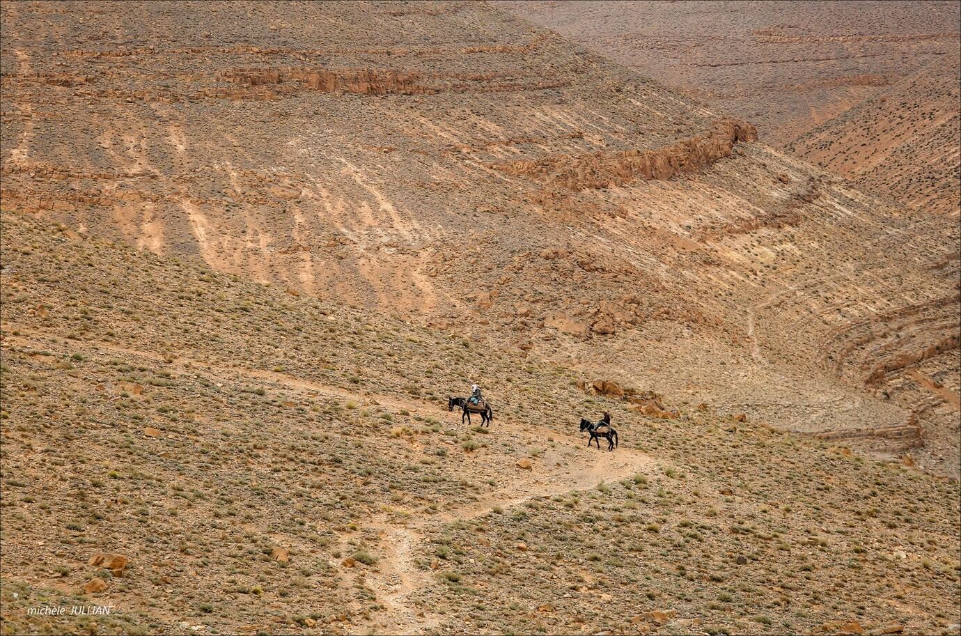 chevaux sur la route dans des paysages gigantesques du haut atlas marocain