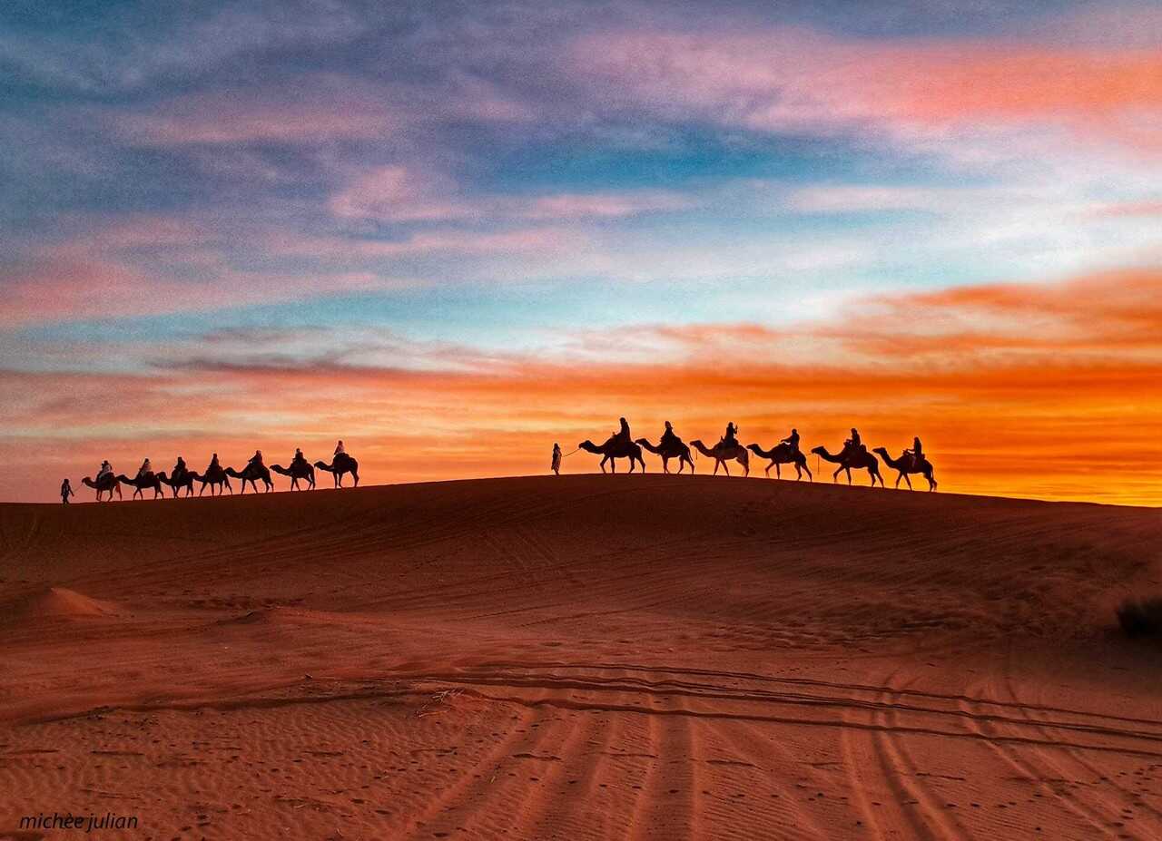 chameliers et dromadaires dans le désert berbère au maroc