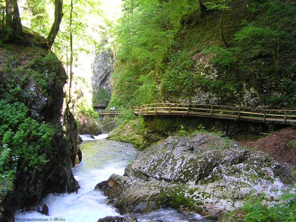 gorges de vintgar en slovénie centrale