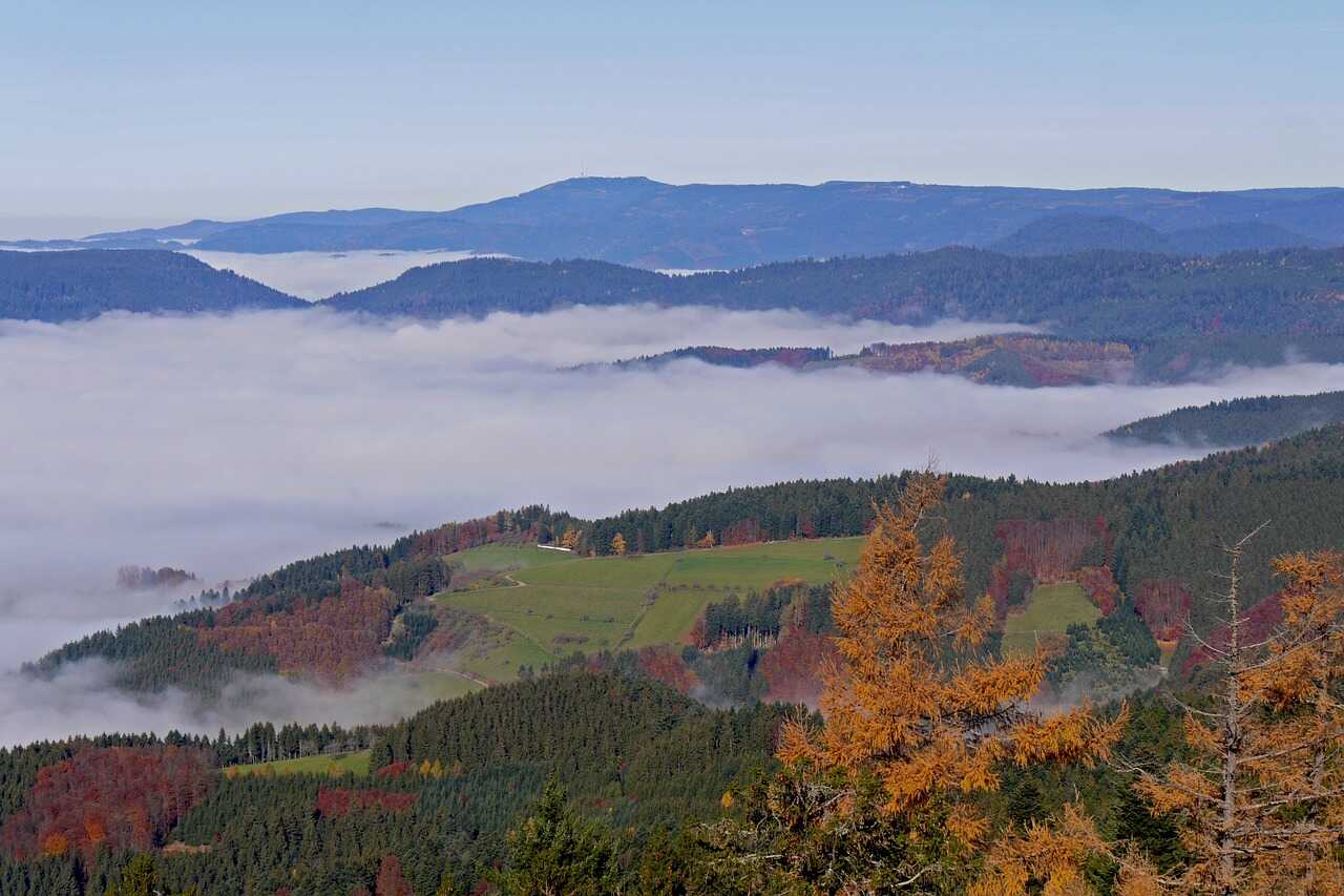 paisaje de la selva negra en alemania