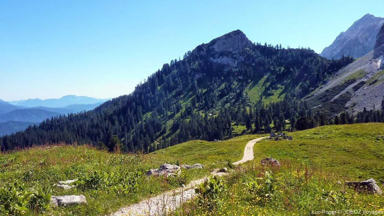 sentier de randonnée dans les alpes bavaroises dans la région de garmisch partenkirchen