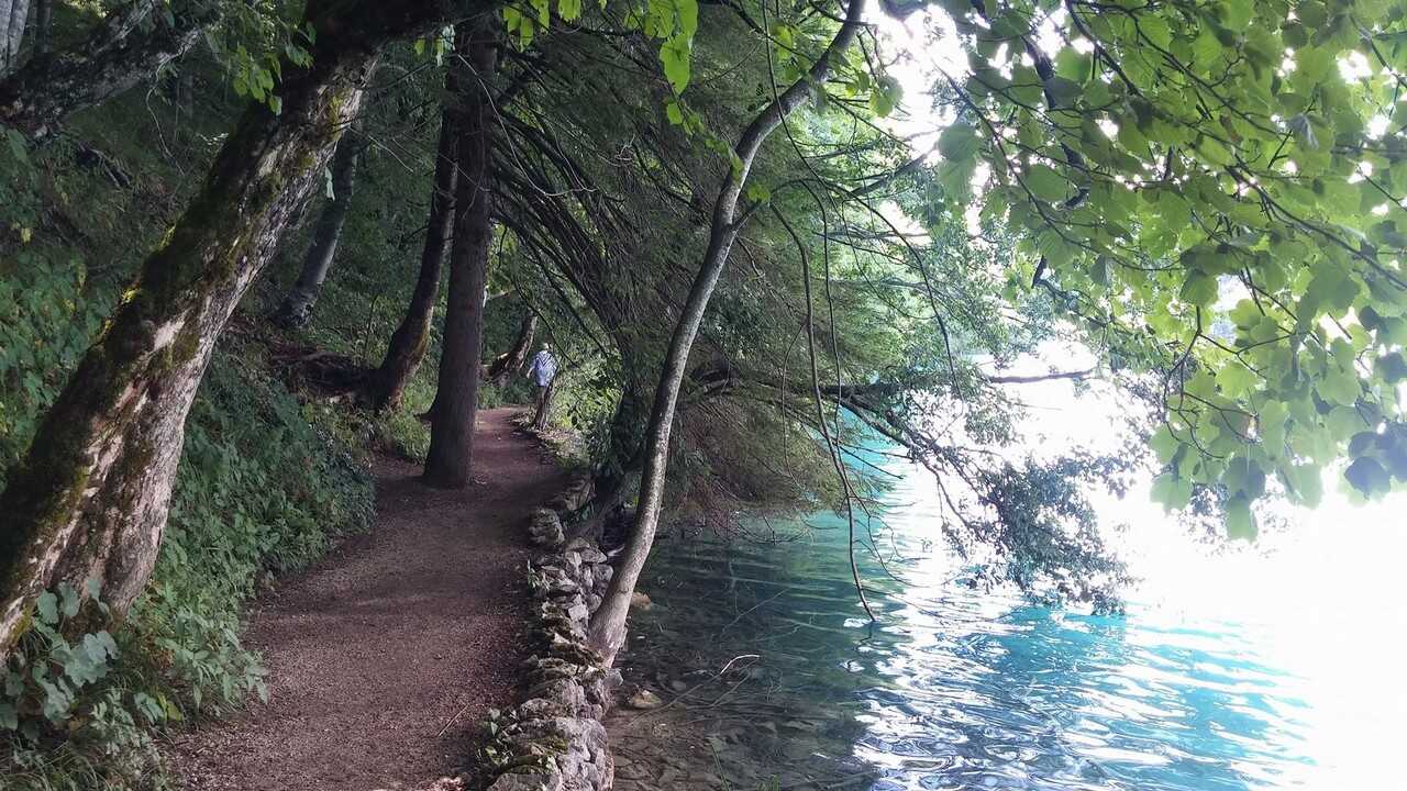 sentier des lacs supérieurs à Plitvice en été
