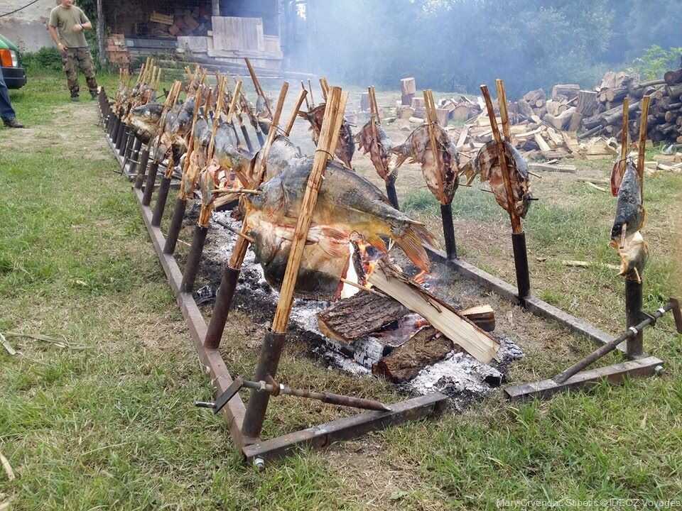 cuisson des poissons sur les broches pendant les journées des pêcheurs de kopacevo en slavonie